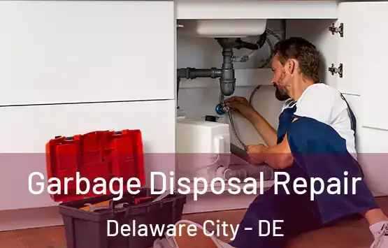  Garbage Disposal Repair Delaware City - DE