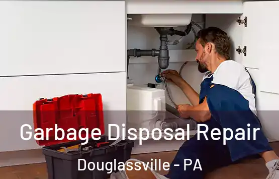  Garbage Disposal Repair Douglassville - PA