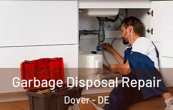  Garbage Disposal Repair Dover - DE