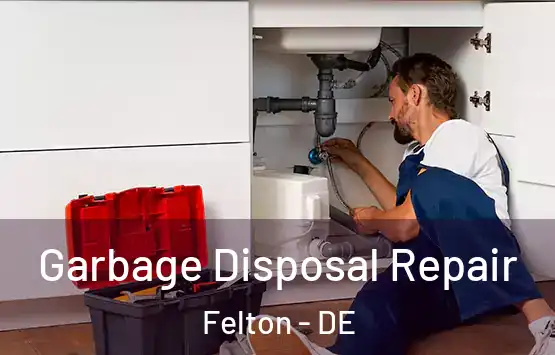  Garbage Disposal Repair Felton - DE