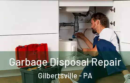  Garbage Disposal Repair Gilbertsville - PA