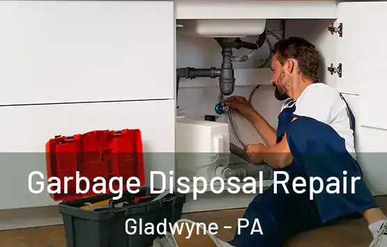  Garbage Disposal Repair Gladwyne - PA