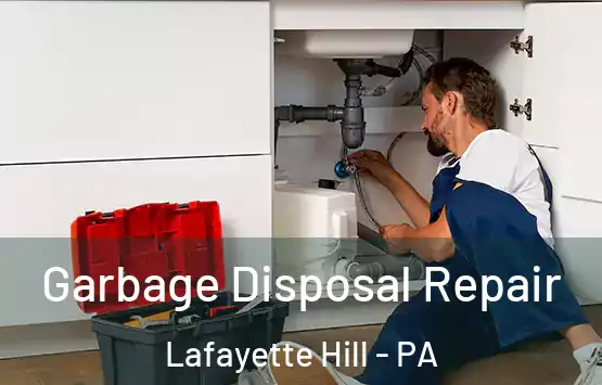  Garbage Disposal Repair Lafayette Hill - PA