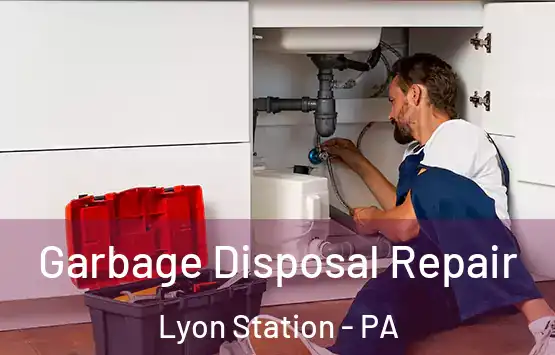  Garbage Disposal Repair Lyon Station - PA