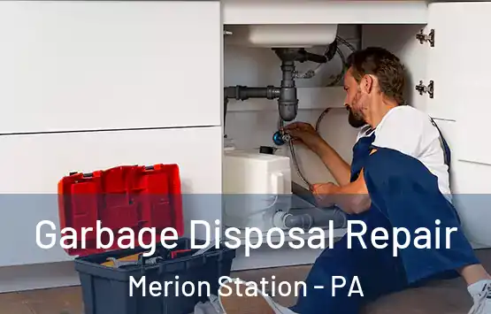  Garbage Disposal Repair Merion Station - PA