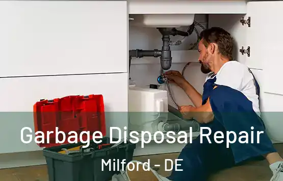  Garbage Disposal Repair Milford - DE