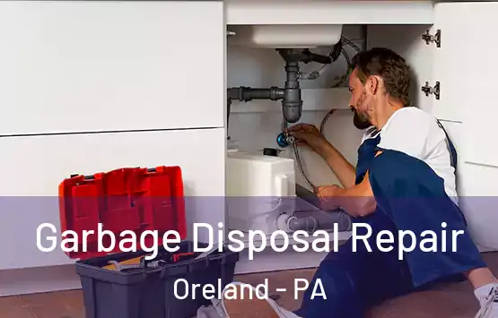  Garbage Disposal Repair Oreland - PA