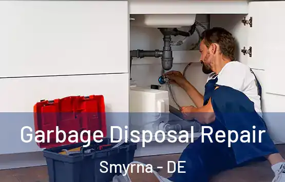  Garbage Disposal Repair Smyrna - DE