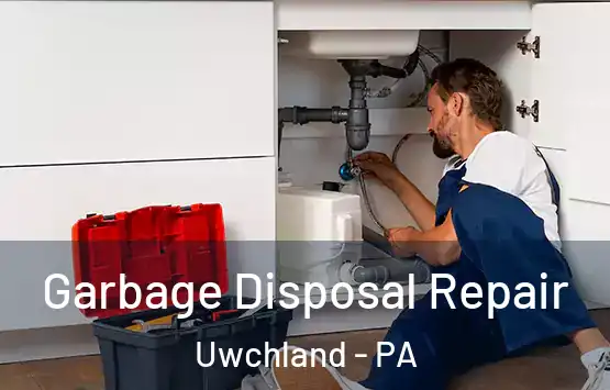  Garbage Disposal Repair Uwchland - PA