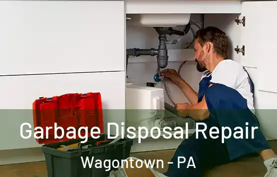  Garbage Disposal Repair Wagontown - PA