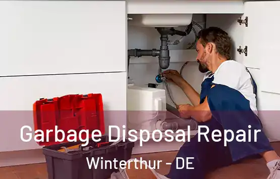  Garbage Disposal Repair Winterthur - DE