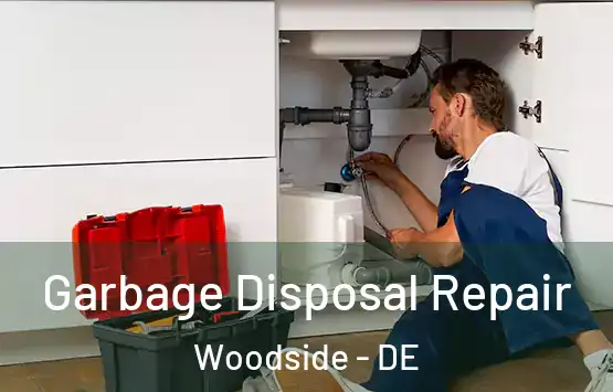  Garbage Disposal Repair Woodside - DE