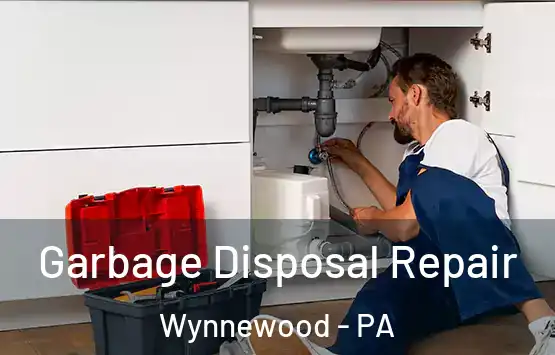  Garbage Disposal Repair Wynnewood - PA