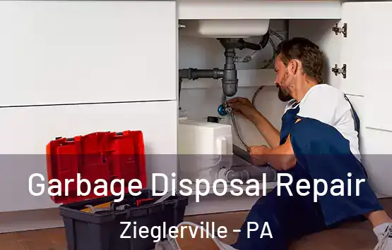  Garbage Disposal Repair Zieglerville - PA