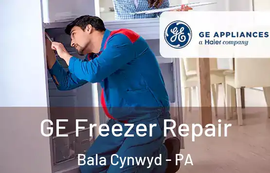  GE Freezer Repair Bala Cynwyd - PA