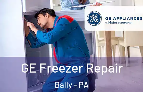  GE Freezer Repair Bally - PA