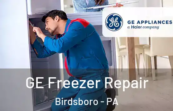  GE Freezer Repair Birdsboro - PA