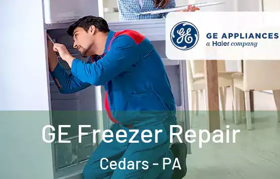  GE Freezer Repair Cedars - PA