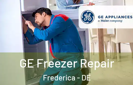  GE Freezer Repair Frederica - DE