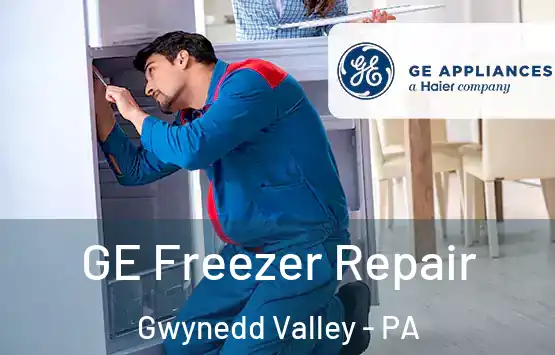  GE Freezer Repair Gwynedd Valley - PA