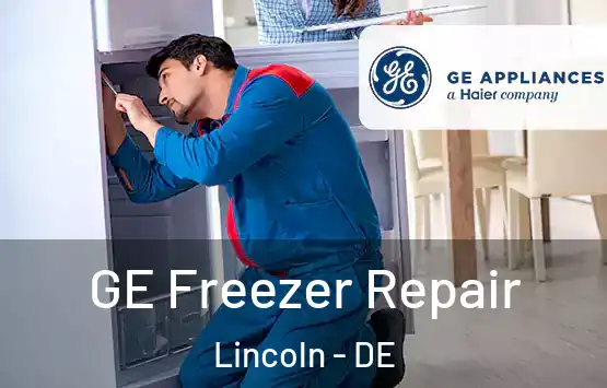  GE Freezer Repair Lincoln - DE