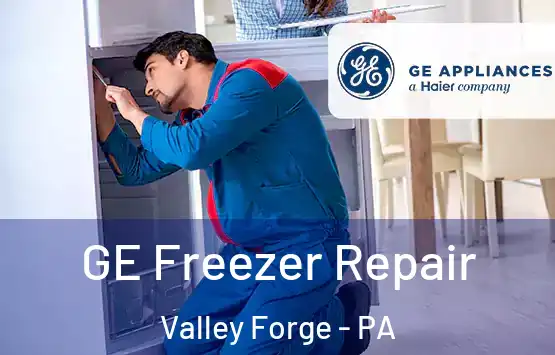  GE Freezer Repair Valley Forge - PA