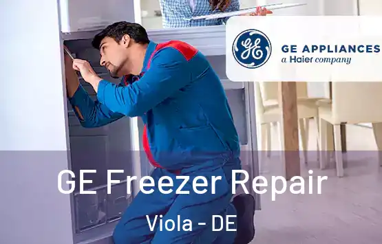  GE Freezer Repair Viola - DE