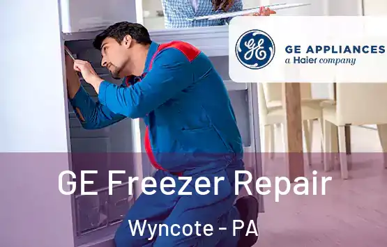  GE Freezer Repair Wyncote - PA