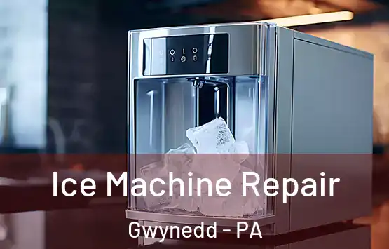  Ice Machine Repair Gwynedd - PA