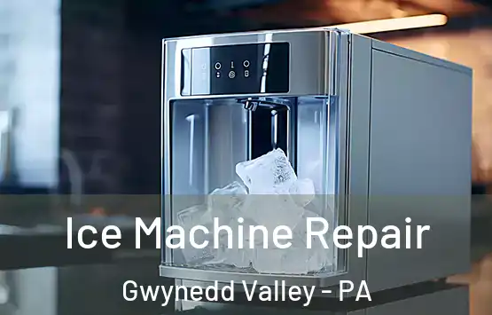  Ice Machine Repair Gwynedd Valley - PA