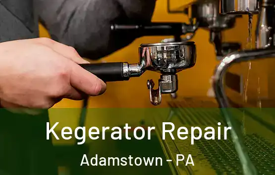  Kegerator Repair Adamstown - PA
