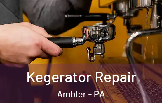  Kegerator Repair Ambler - PA