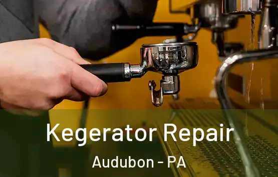  Kegerator Repair Audubon - PA