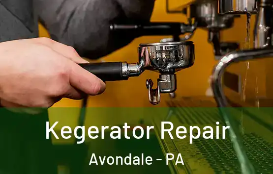  Kegerator Repair Avondale - PA