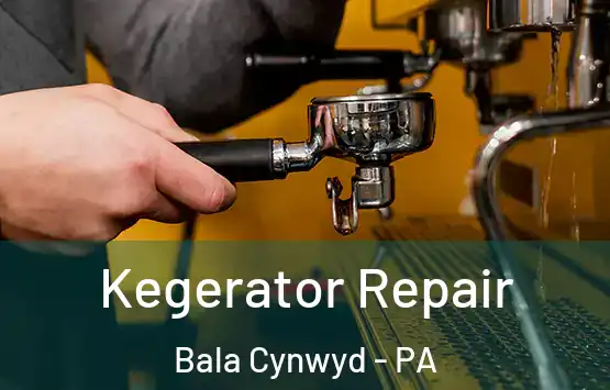 Kegerator Repair Bala Cynwyd - PA