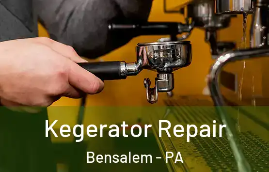  Kegerator Repair Bensalem - PA