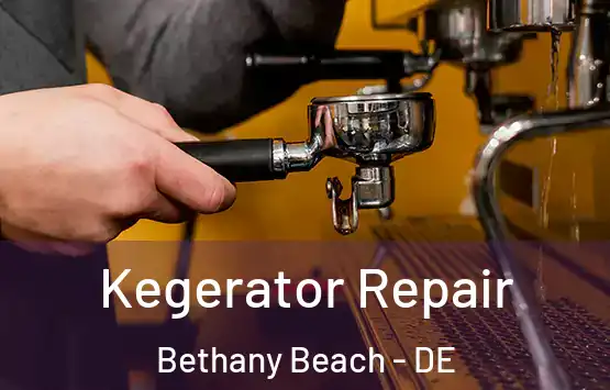  Kegerator Repair Bethany Beach - DE