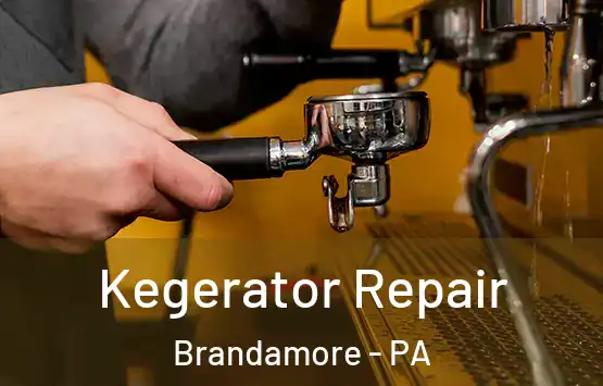  Kegerator Repair Brandamore - PA