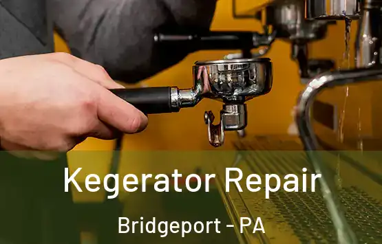  Kegerator Repair Bridgeport - PA