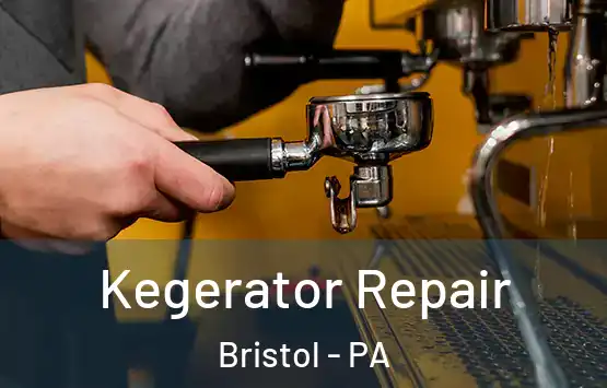  Kegerator Repair Bristol - PA