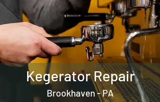  Kegerator Repair Brookhaven - PA