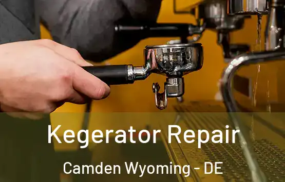  Kegerator Repair Camden Wyoming - DE