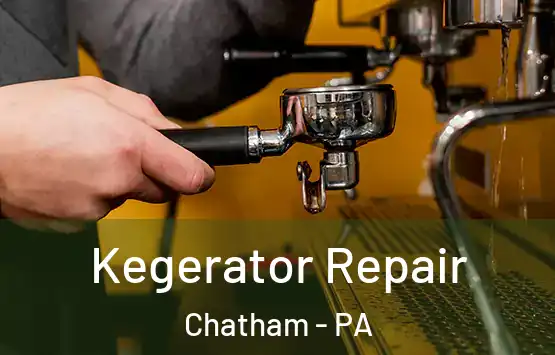  Kegerator Repair Chatham - PA