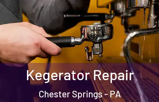  Kegerator Repair Chester Springs - PA