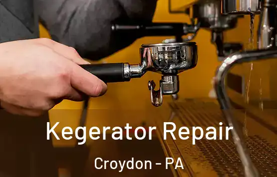  Kegerator Repair Croydon - PA
