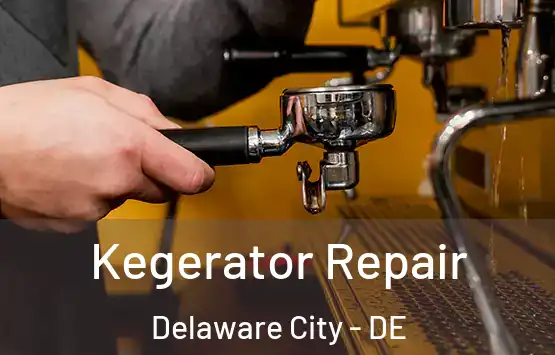  Kegerator Repair Delaware City - DE