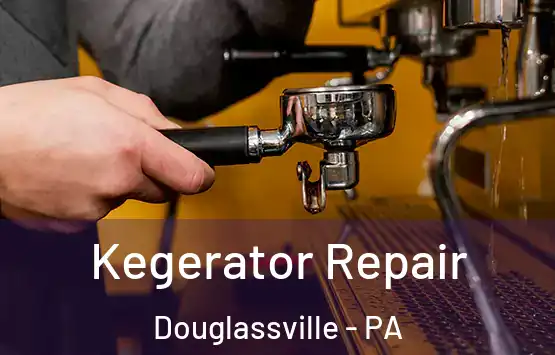 Kegerator Repair Douglassville - PA