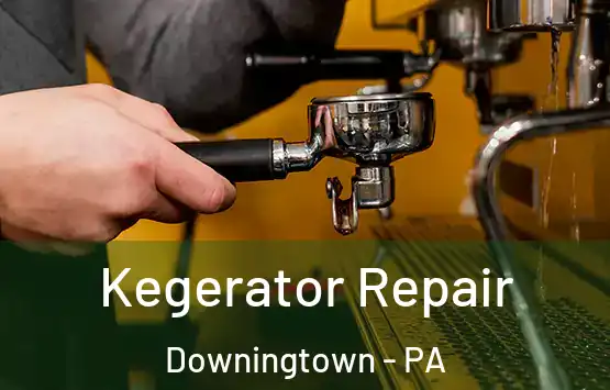 Kegerator Repair Downingtown - PA