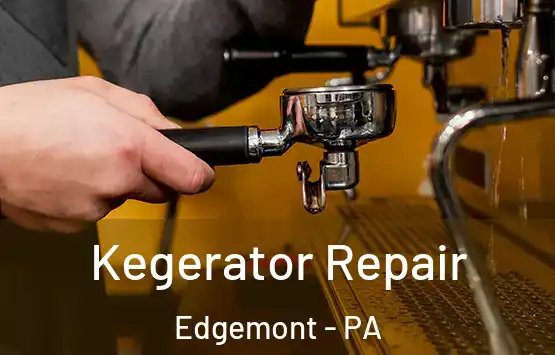  Kegerator Repair Edgemont - PA