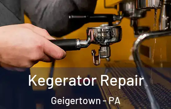  Kegerator Repair Geigertown - PA